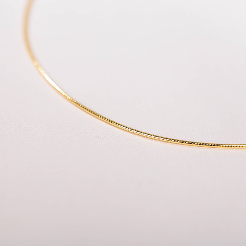 E2603# Titanium Steel Necklace
