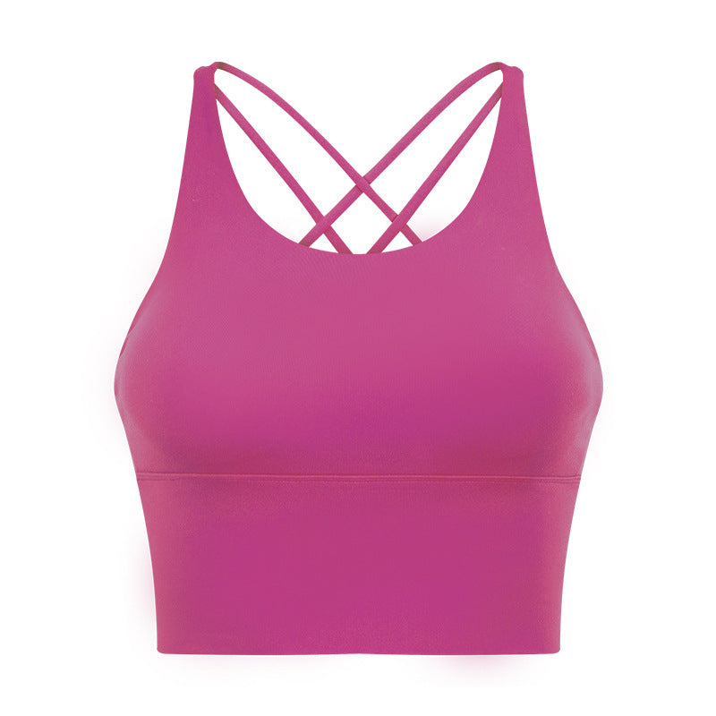 1810# A Women Bra or Skirt
