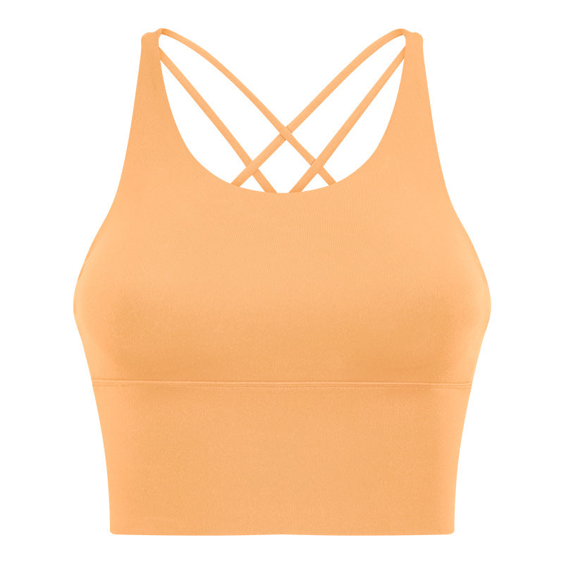 1810# A Women Bra or Skirt
