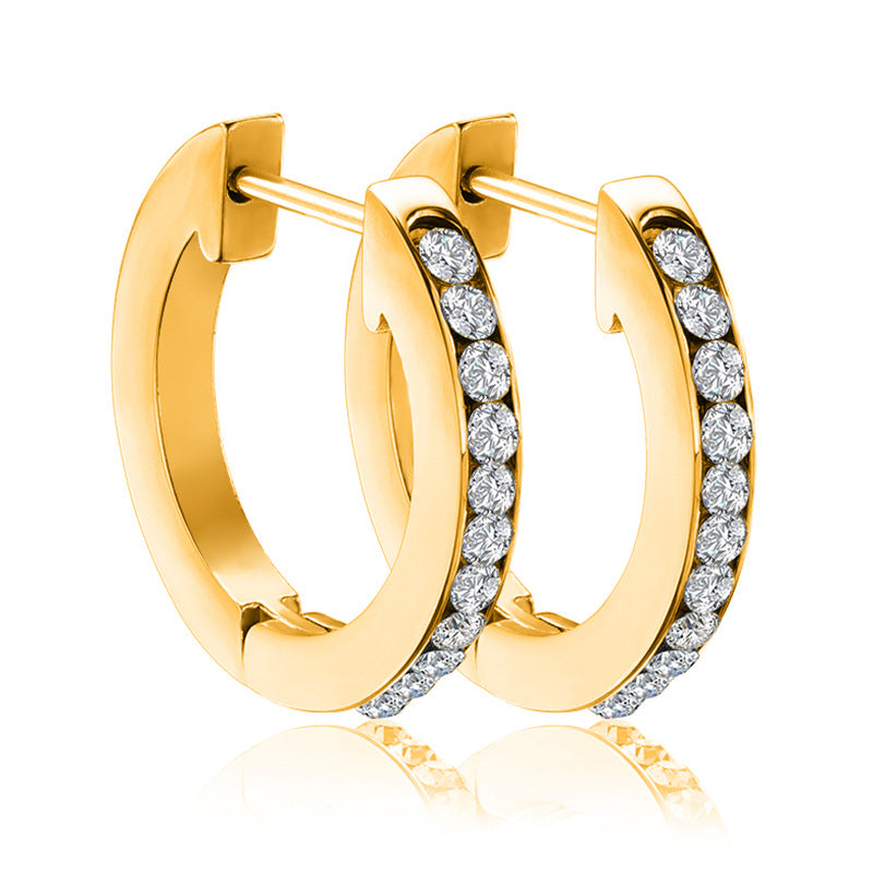 E2567# Titanium Steel Earrings